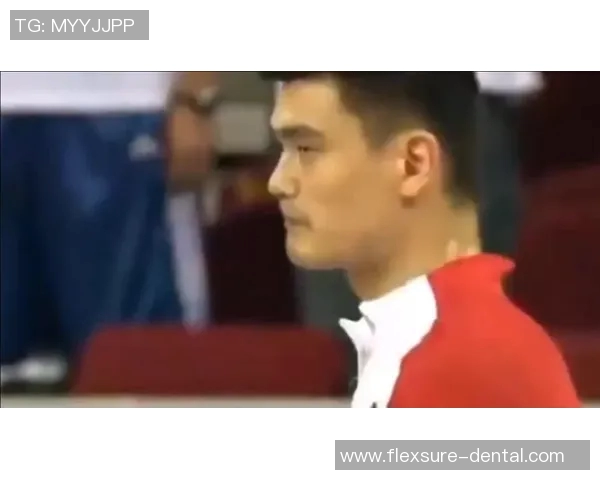 姚明鬼畜风格创意图片大赏让你领略不一样的篮球巨星魅力